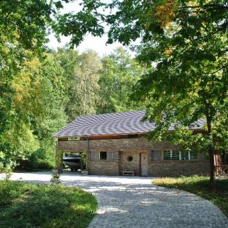 Cachée dans le bois